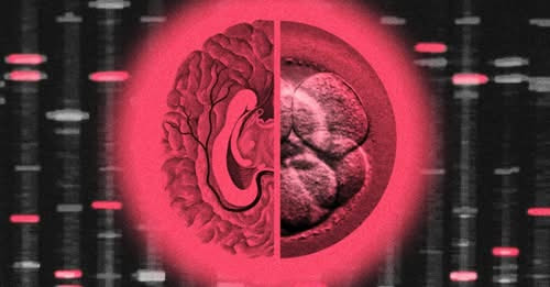 7166818107005000297?url=https%3A%2F%2Fstatic.tert.am%2Fstorage%2Ffiles%2Fbefunky collage 2025 08 13t.jpg