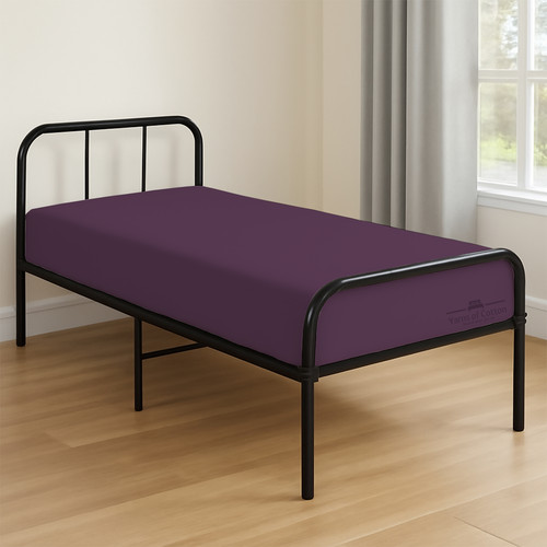 PLUM 01.jpg