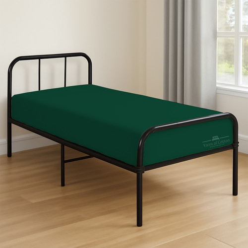 OLIVE 01.jpg