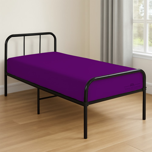 PURPLE 01.jpg