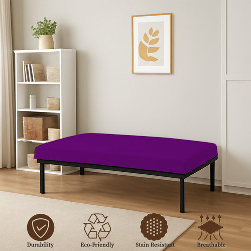 PURPLE 03.jpg