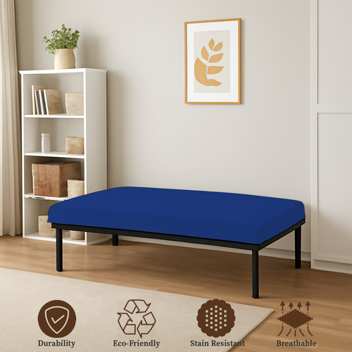 ROYALBLUE 03.jpg