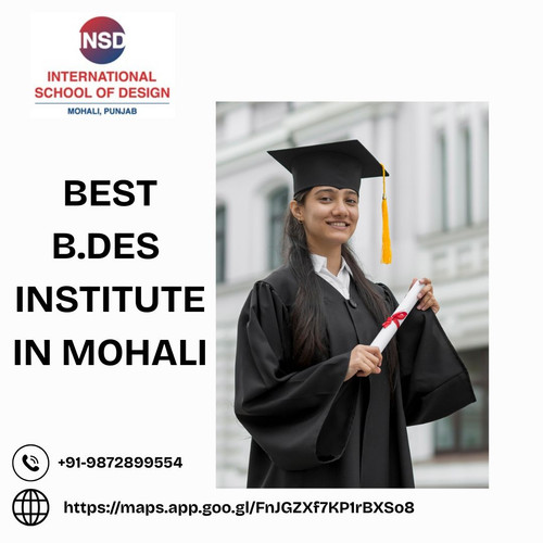 best b.des institute in mohali punjab.jpg