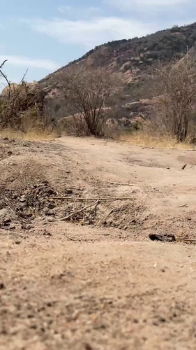 asiq zwL7jCYW274.jpg