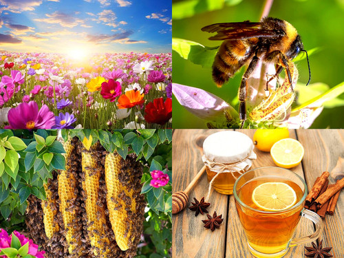 ' Glorified is Allaah , i . e God ., The All Mighty Creator '.jpg