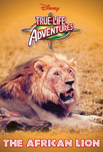 Screenshot 2025 08 14 at 09 38 15 610d56c2b6328.jpg (obraz JPEG 680×1000 pikseli) — Skala (56 ).png