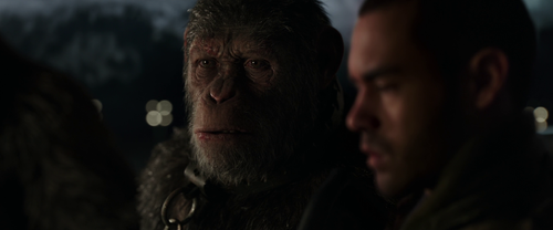 vlcsnap 2025 08 13 23h22m26s508