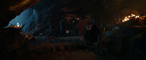 vlcsnap 2025 08 13 23h22m18s826