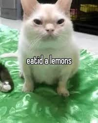 eatid a lemons.jpg