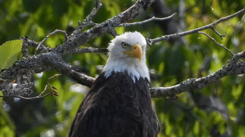 80VZdR12K3mf qYL.jpg