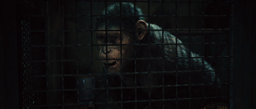 vlcsnap 2025 08 14 14h03m03s978