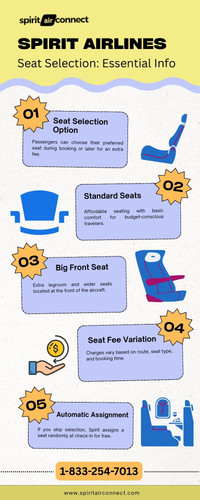 Spirit Airlines Seat Selection Essential Info.jpg