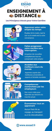Enseignement à Distance Les Principaux Atouts pour Votre Carrière.jpg