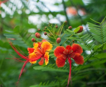 360 F 148944287 HH5jNavoTdjW6bdO.jpg