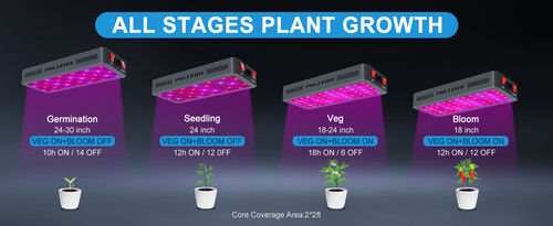 philzon all stages.jpg