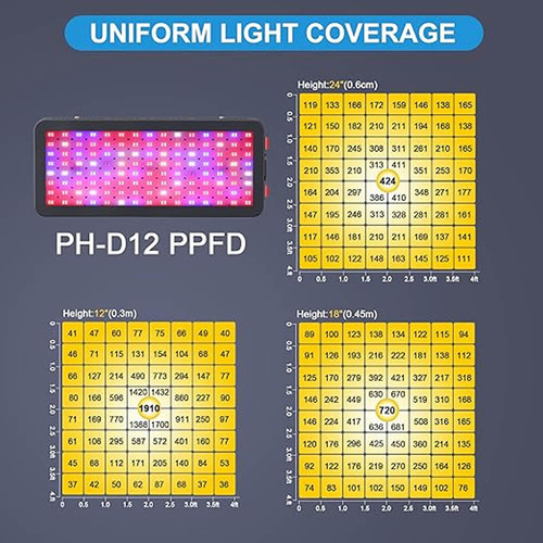 philzon ph d12 light coverage.jpg