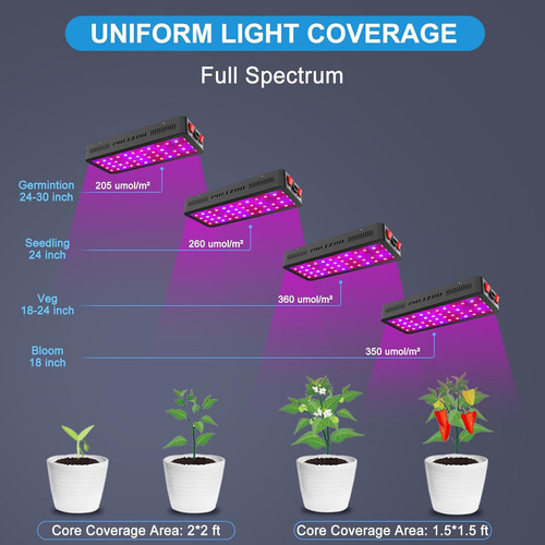 philzon uniform light coverage.jpg