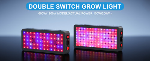 philzon double switch.jpg