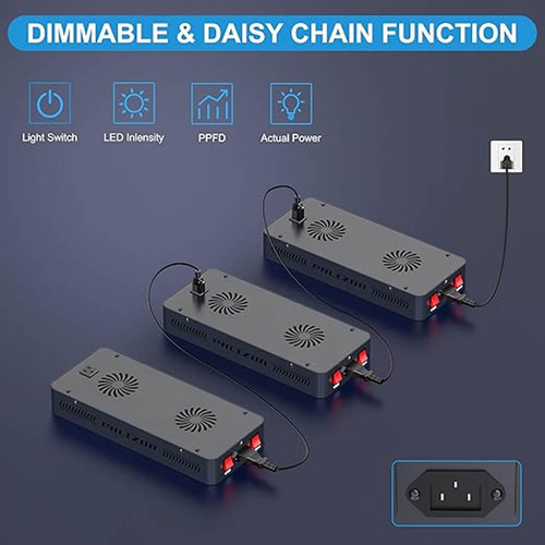philzon daisy chain.jpg