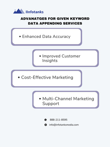 Advanatges for given keyword Data Appending Services.jpg