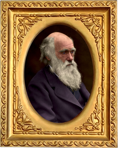 .Darwin.png