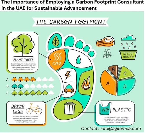 carbon Footprint.jpg