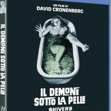 71OxbncughL. SL1500 (1) preview rev 1.png