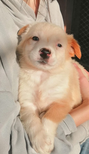 d9e30fac 9ce9 4241 8903 00bdecbb4b96