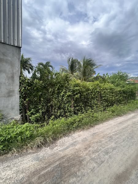 532056841 2984265211751723 4554561049054730085 n.jpg