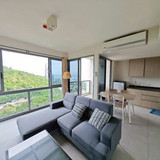 m800x1200 (1)