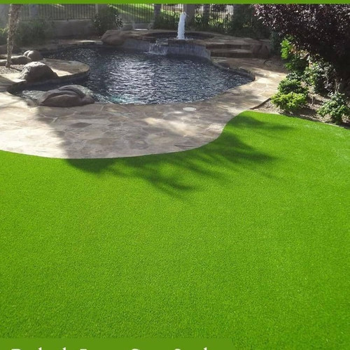 9500 3lawn grass seeds for park.jpg