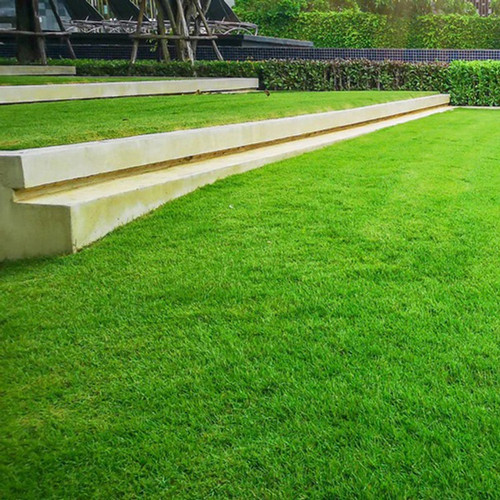 15000 lawngrassseed 0912 brs 150 (1).jpg