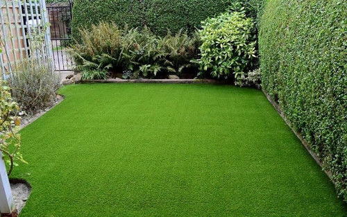 7500 3bermuda grass seeds home d.jpg