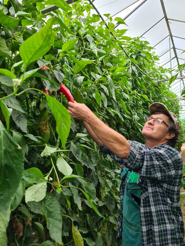 IMG 63500ef1416b8333115c4b0a39700cf0 V.jpg