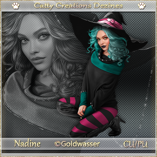 nadine cc 3.png