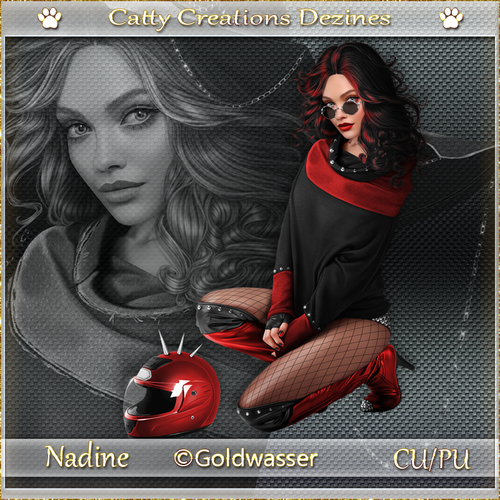 nadine cc 4.png