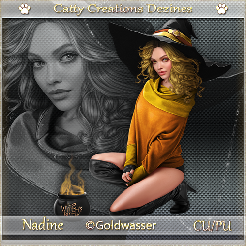nadine cc 7.png