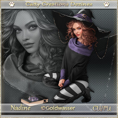 nadine cc 5.png