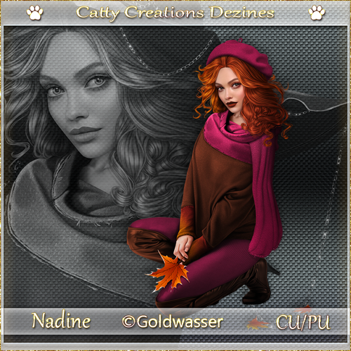 nadine cc 6.png