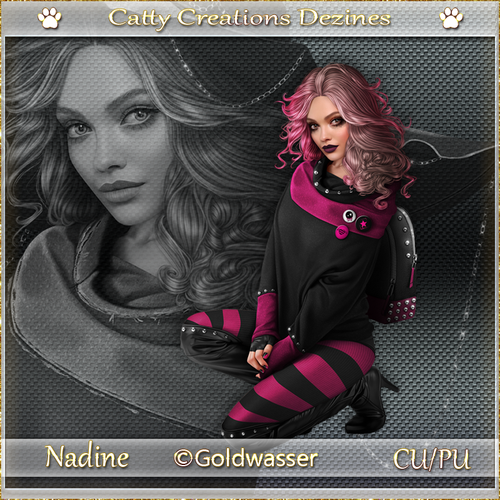 nadine cc 2.png