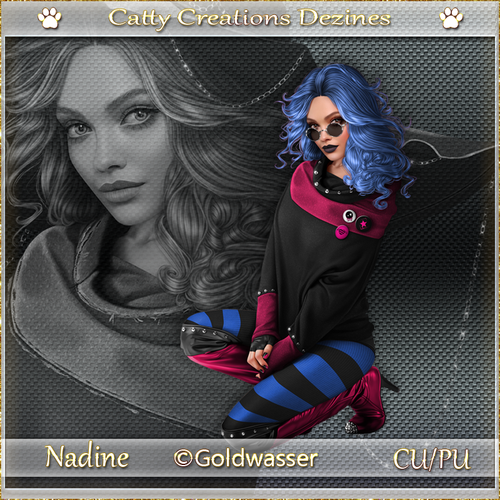 nadine cc 9.png