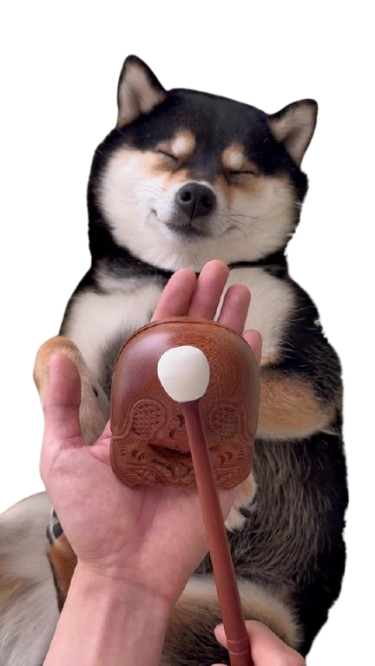 MANYU - The From Fluffy Pup to Global Icon