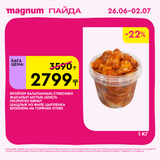 Magnum 1620x1620 1 tov 2025 06 25T093447.622