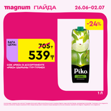 Magnum 1620x1620 1 tov 2025 06 25T093431.645