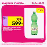 Magnum 1620x1620 1 tov 2025 06 25T093547.099
