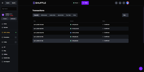 Screenshot 2025 06 25 194717