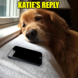 Katie.png