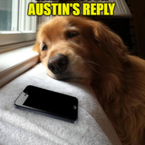 Austin.png