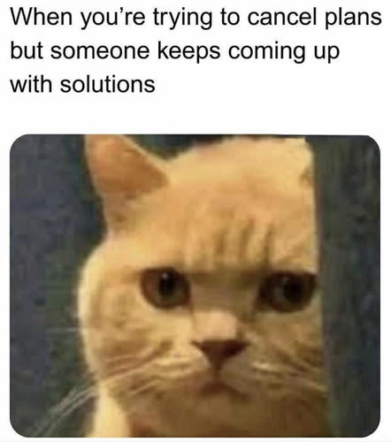 Screenshot 2025 06 26 at 10.55.16 AM.png