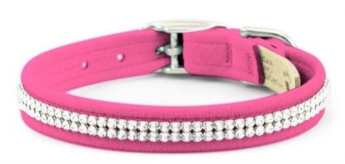 The Collar Club: Where Fashion Meets Function.jpg